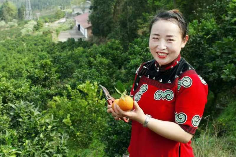 昆明富硒水果(昆明水果富硒产地)-硒宝网