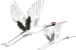 昆明富硒水果(昆明水果富硒产地)-硒宝网