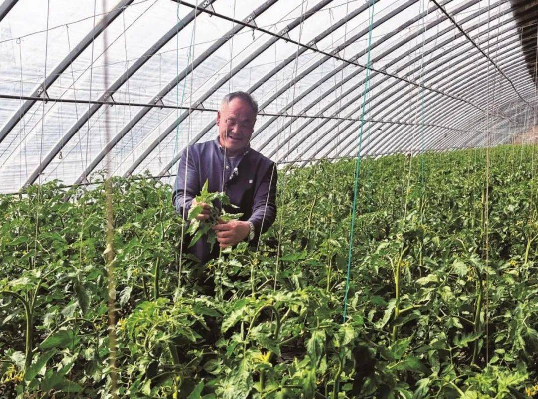 吉林富硒水果(吉林富硒大米)-硒宝网