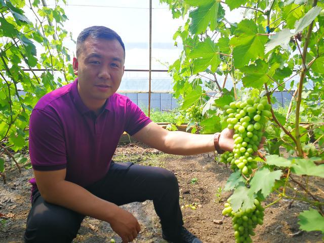 吉林富硒水果（吉林水果富硒产地）-硒宝网