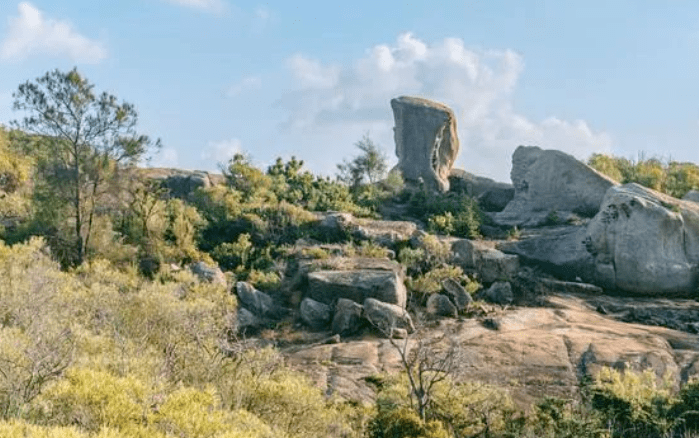 高山富硒水果（高山富硒茶功效）-硒宝网