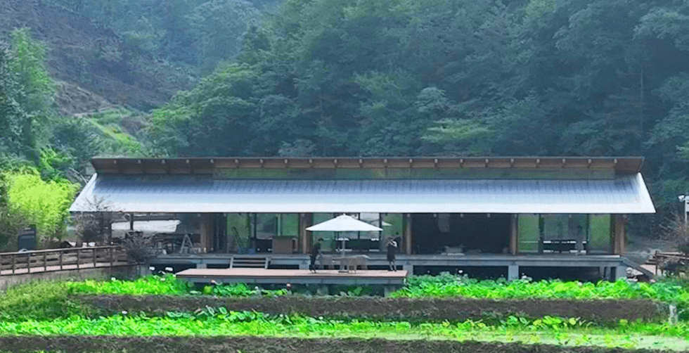 高山富硒水果（高山富硒茶功效）-硒宝网