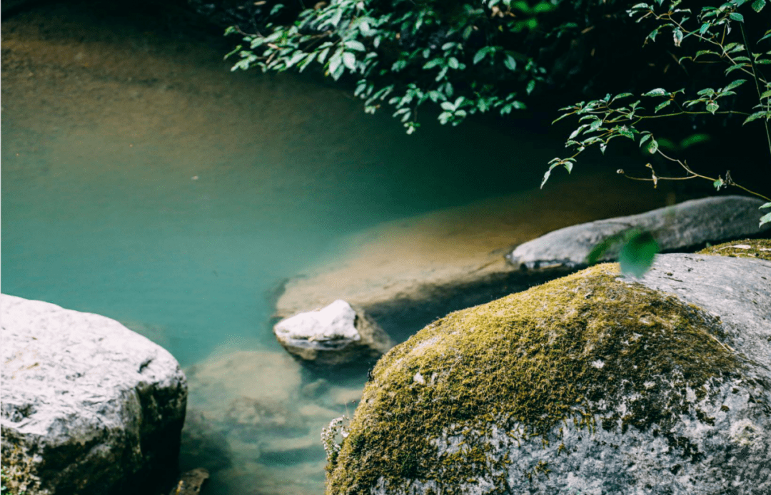 高山富硒水果（高山富硒茶功效）-硒宝网