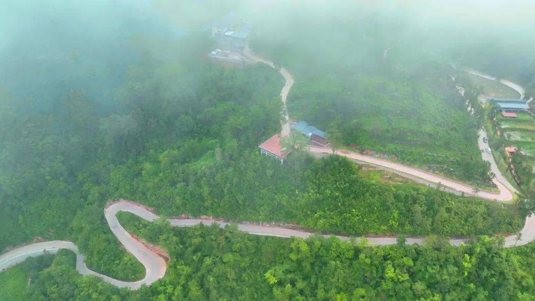 高山富硒水果（高山富硒茶功效）-硒宝网