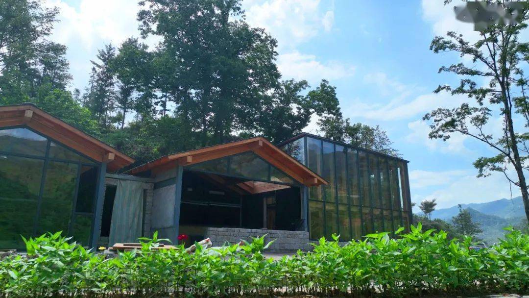 高山富硒水果（高山富硒茶功效）-硒宝网