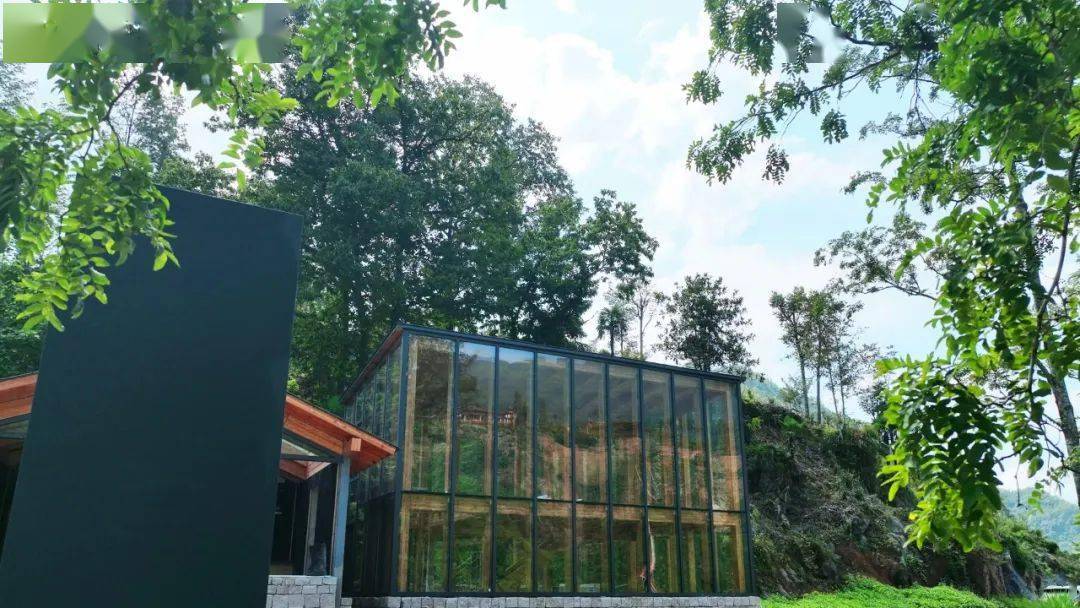 高山富硒水果（高山富硒茶功效）-硒宝网