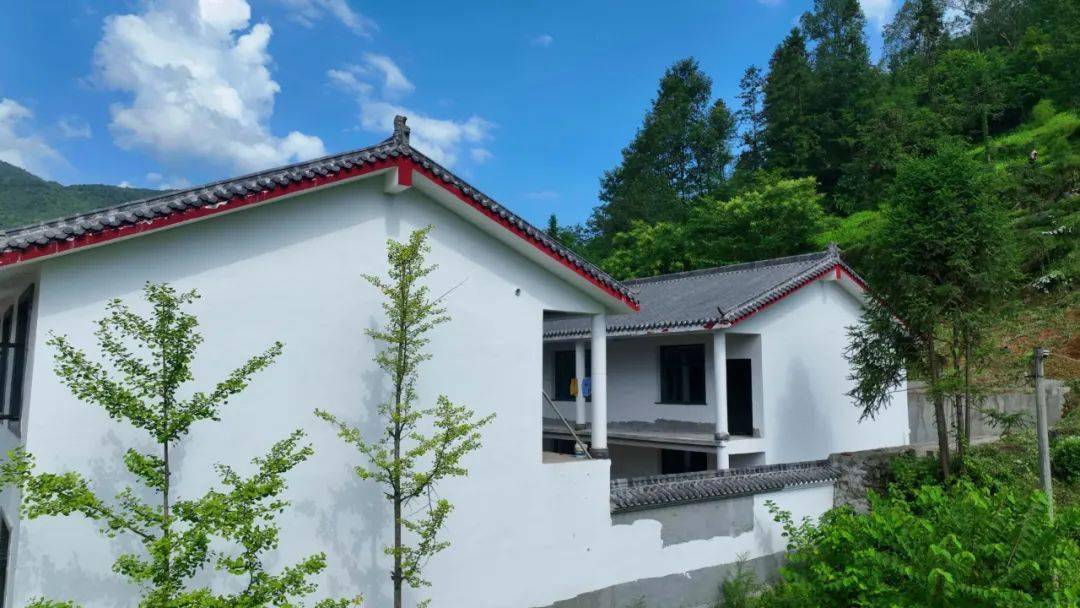 高山富硒水果（高山富硒茶功效）-硒宝网