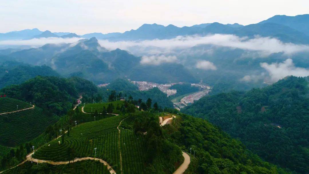 高山富硒水果（高山富硒茶功效）-硒宝网