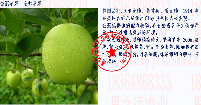 富硒水果果苗(富硒水果种植技术)-硒宝网