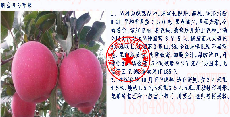 富硒水果果苗(富硒水果种植技术)-硒宝网