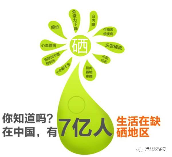 水果富硒含量(含量水果富硒的食物)-硒宝网