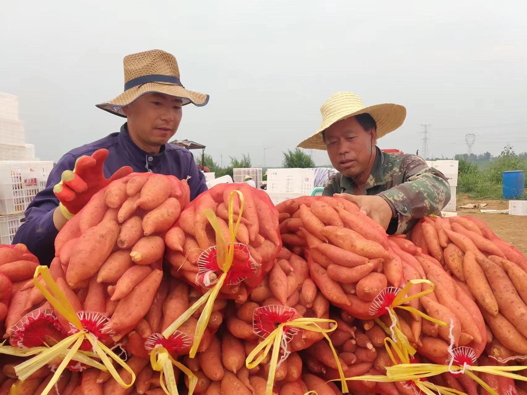 郑州富硒水果（河南富硒地）-硒宝网