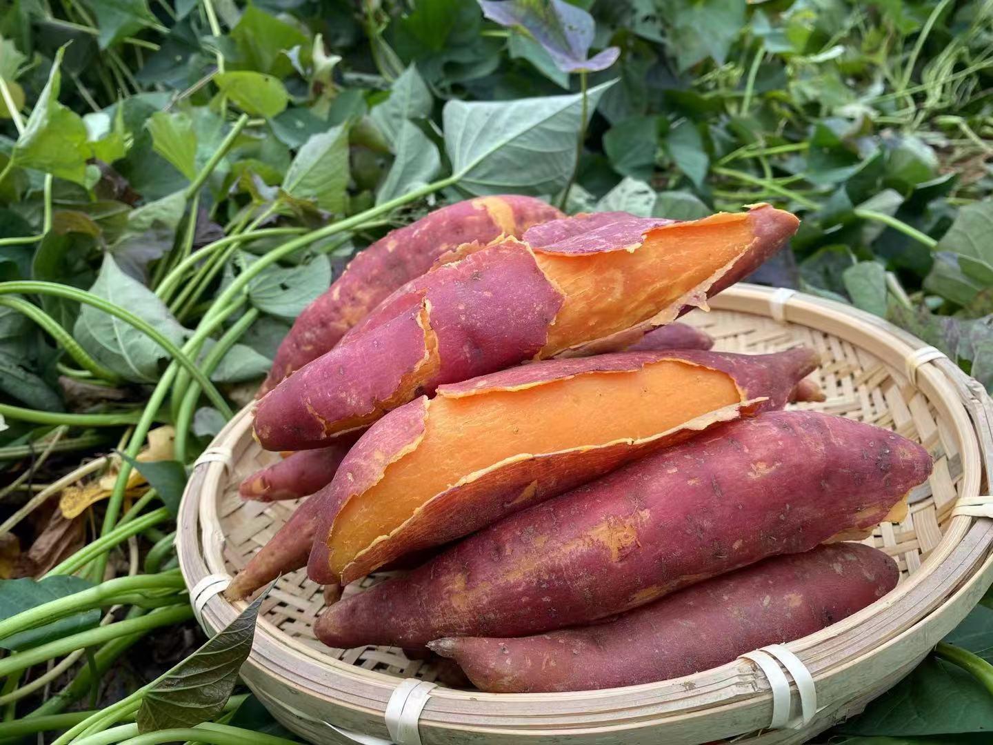 郑州富硒水果（河南富硒地）-硒宝网