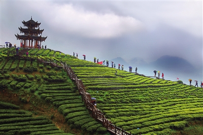 武汉富硒水果(富硒水果前十名)-硒宝网
