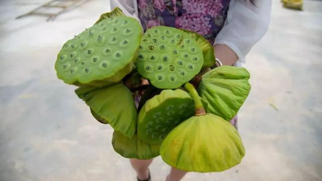 南通富硒水果(江苏南通水果)-硒宝网