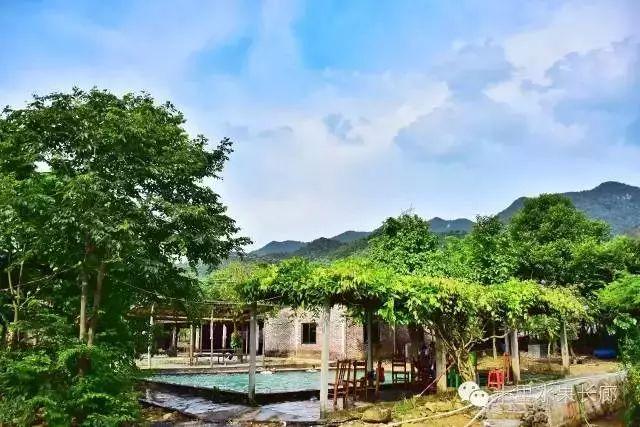 南通富硒水果(江苏南通水果)-硒宝网