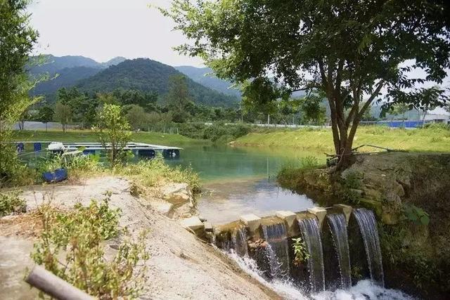 南通富硒水果(江苏南通水果)-硒宝网