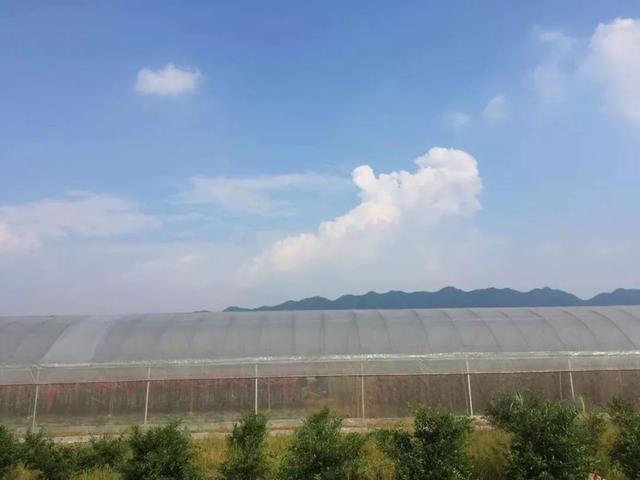 南通富硒水果(江苏南通水果)-硒宝网