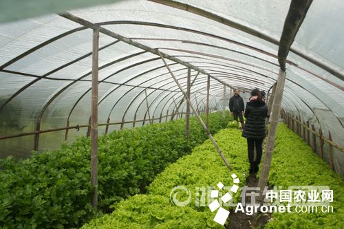 富硒水果批发（富硒食品批发）-硒宝网