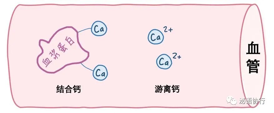 补钙多久要停一停（补钙停多久再补下次）-硒宝网