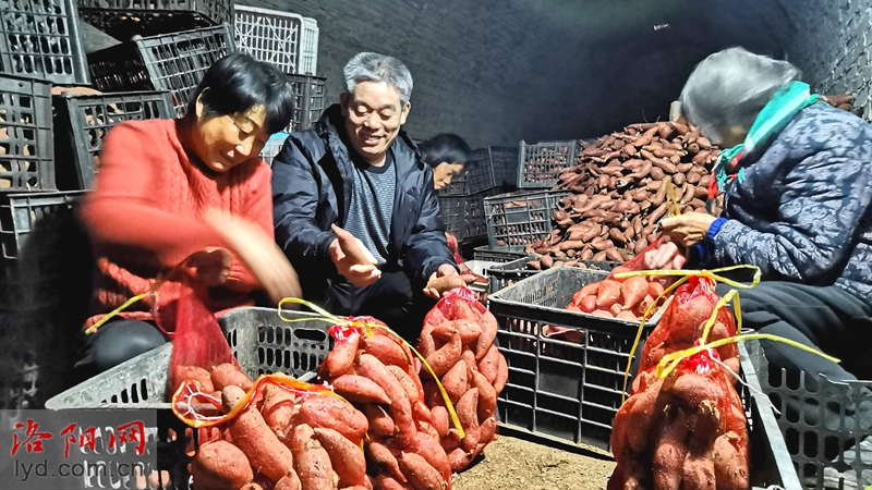 洛阳富硒水果（河南省洛阳市富硒土地在哪里）-硒宝网