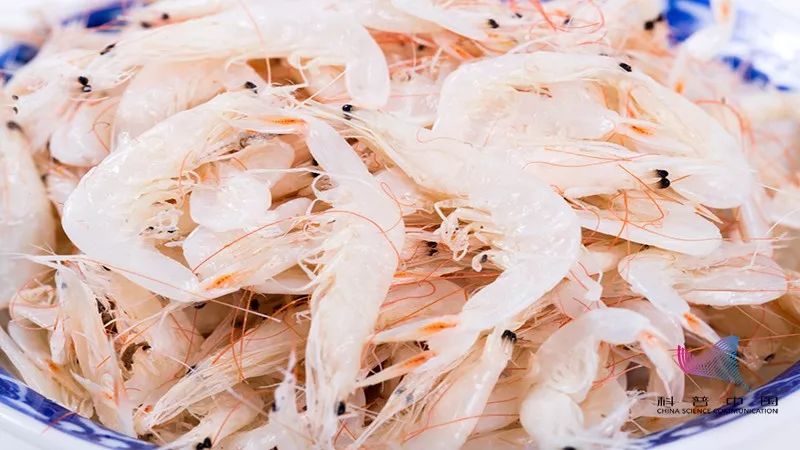 大骨汤补钙效果怎么样（补钙骨汤的做法大全）-硒宝网