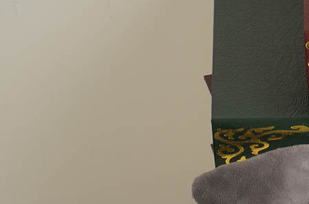 大骨汤补钙效果怎么样(滋补壮骨骨头汤)-硒宝网