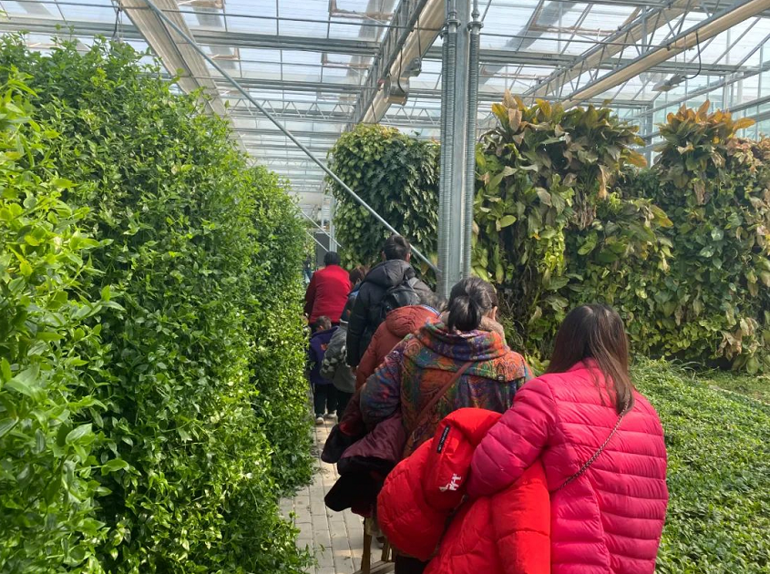 洛阳富硒水果（洛阳富硒红薯新闻）-硒宝网