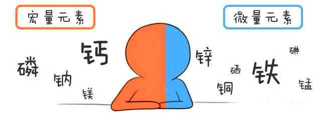 测微量元素要多少钱（测下微量元素要多少钱）-硒宝网