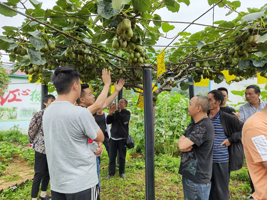 延安富硒水果(延安水果富硒产区)-硒宝网