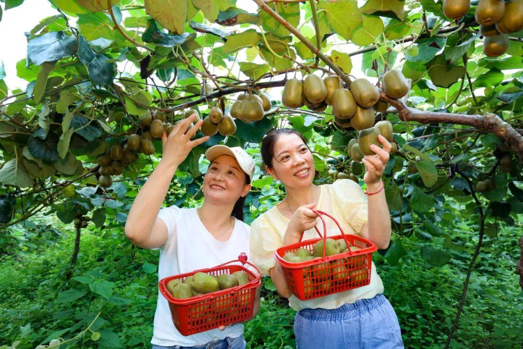 延安富硒水果(延安水果富硒产区)-硒宝网