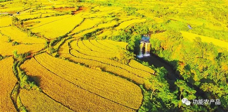 澄迈富硒水果(澄迈富硒产品)-硒宝网