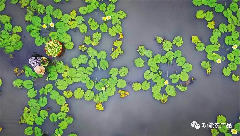 澄迈富硒水果(澄迈富硒产品)-硒宝网