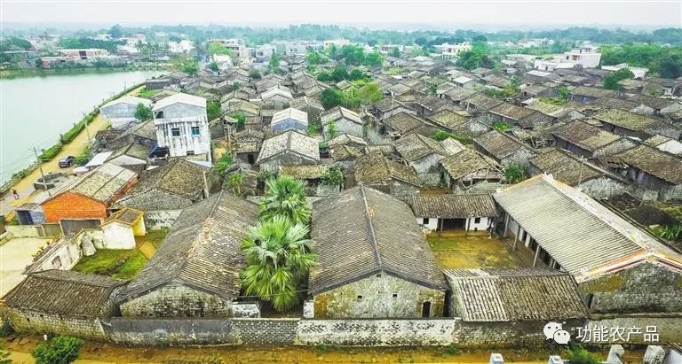 澄迈富硒水果(澄迈富硒产品)-硒宝网