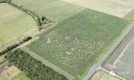 茂名富硒水果（广东富硒地区）-硒宝网