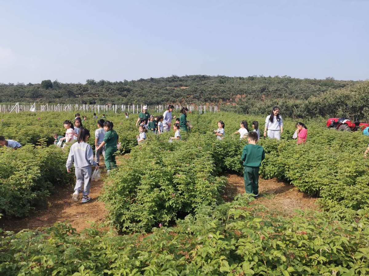 茂名富硒水果（广东富硒地区）-硒宝网