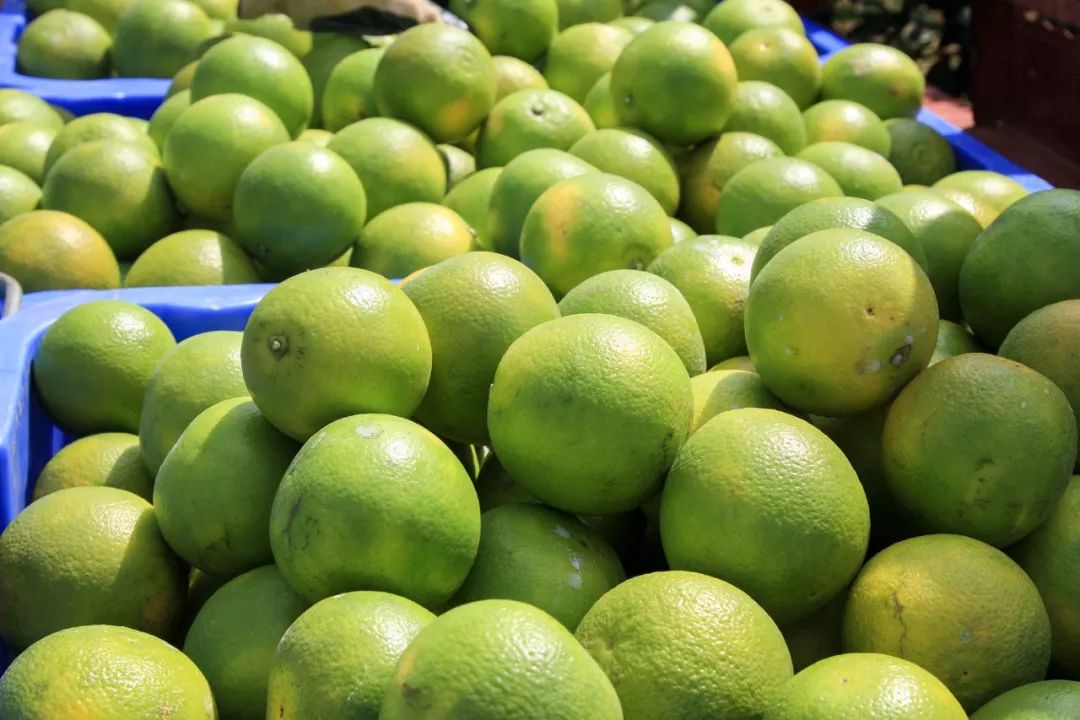 澄迈富硒水果(海南省澄迈县富硒之乡)-硒宝网