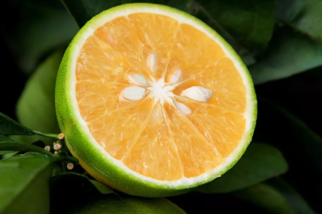 澄迈富硒水果(海南省澄迈县富硒之乡)-硒宝网