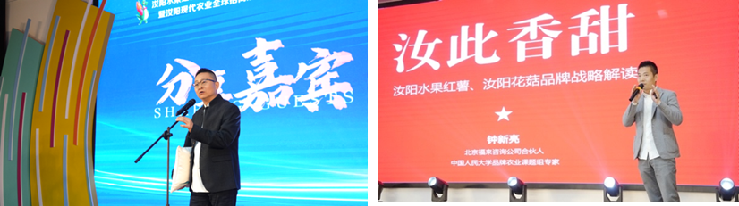 洛阳富硒水果(洛阳水果富硒产地)-硒宝网