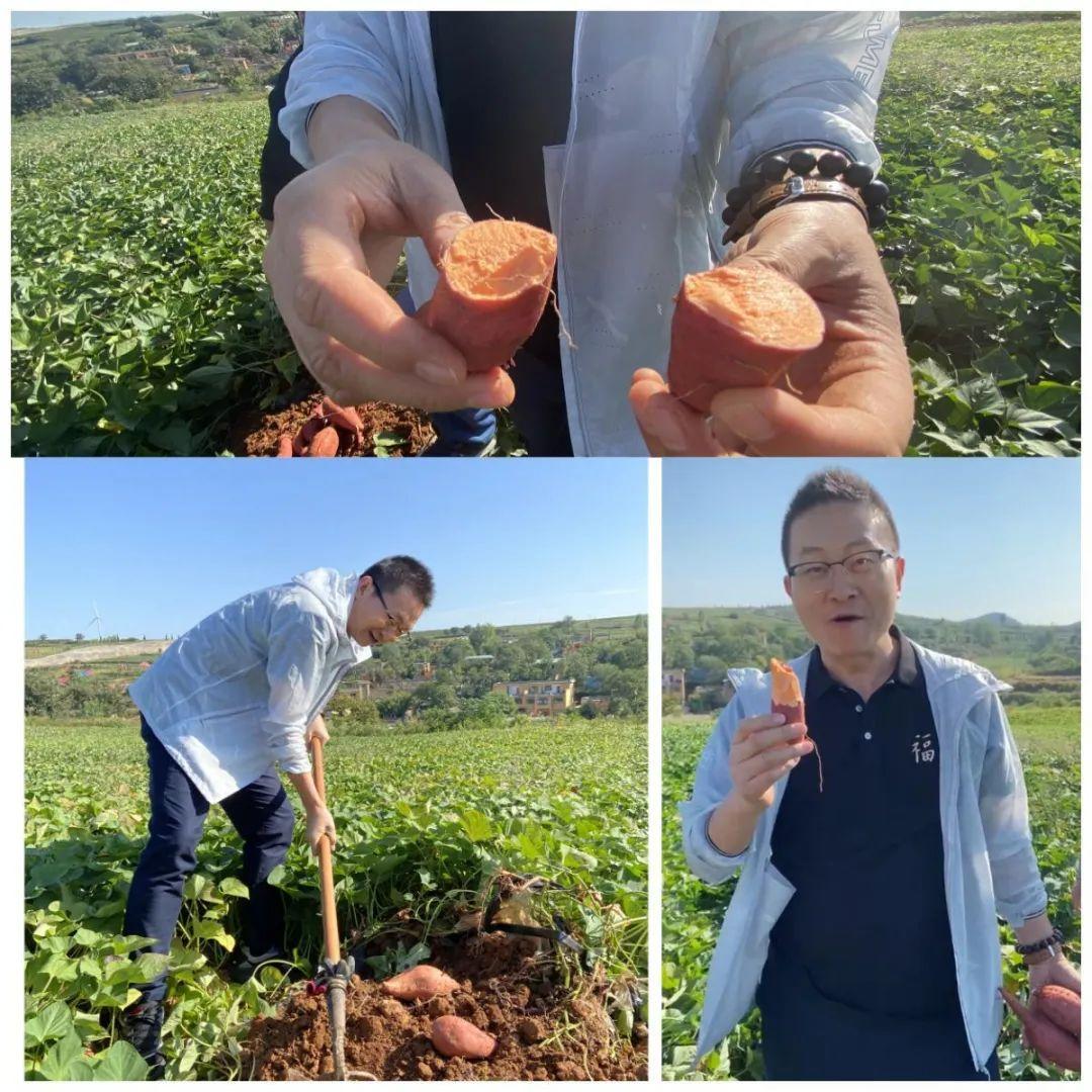 洛阳富硒水果(洛阳水果富硒产地)-硒宝网