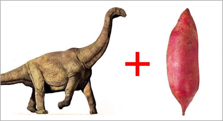 洛阳富硒水果(洛阳水果富硒产地)-硒宝网