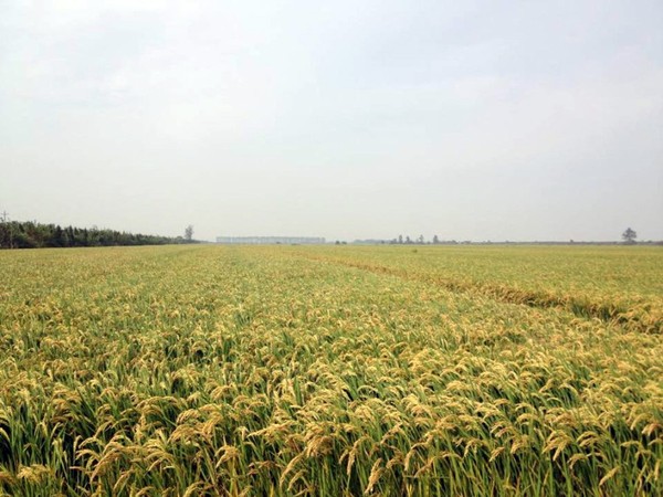 辽阳富硒水果(辽宁富硒)-硒宝网