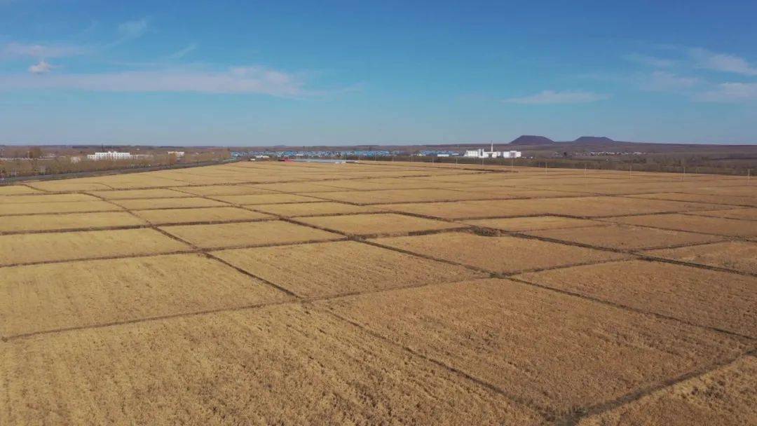 辽阳富硒水果(辽宁富硒)-硒宝网