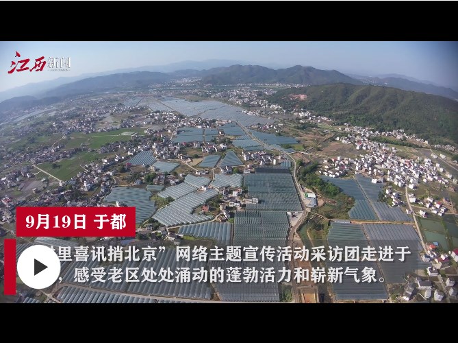 于都富硒水果（于都富硒大米）-硒宝网