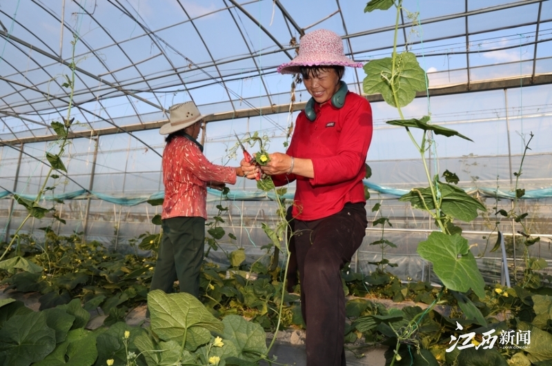 于都富硒水果（于都富硒大米）-硒宝网