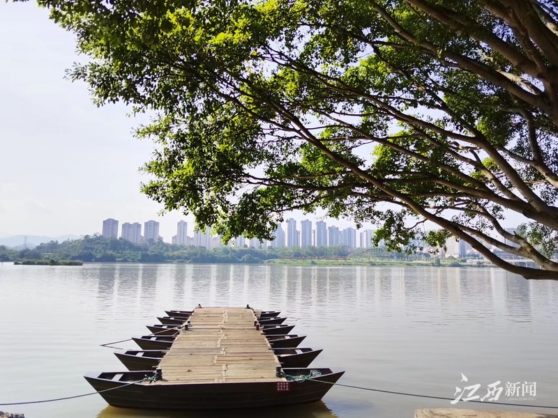 于都富硒水果（于都富硒大米）-硒宝网
