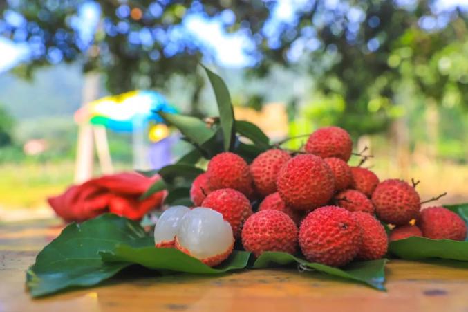 自贡富硒水果（富硒果蔬）-硒宝网