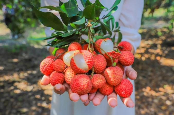 自贡富硒水果（富硒果蔬）-硒宝网