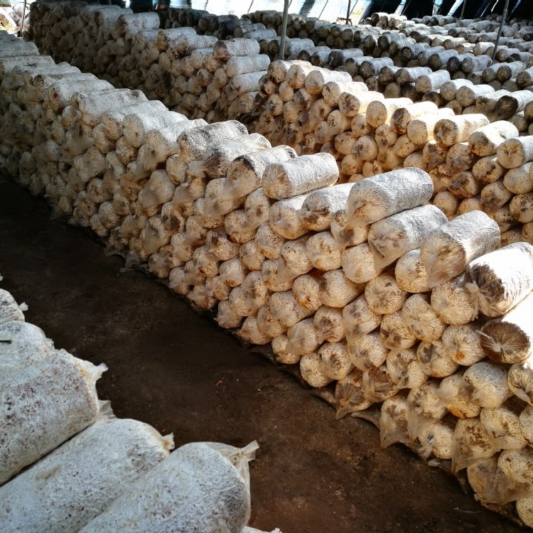 富硒生态水果(富硒的水果)-硒宝网