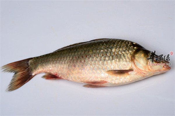 鲫鱼汤补钙吗(鲫鱼汤补钙怎么样)-硒宝网